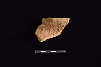 藏品(陶罐)的圖片